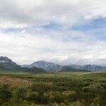 dsc7399