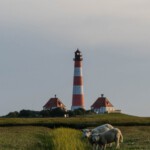 dsc9071