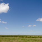 DSC0048