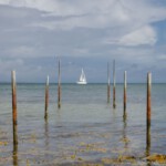 DSC0068