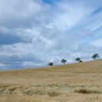 DSC0097