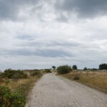 DSC0099