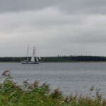 DSC0145