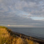 DSC0206