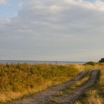 DSC0207