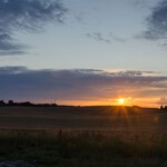 DSC0225