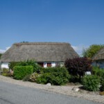 DSC0244