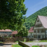 DSC9976