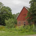 DSC0752