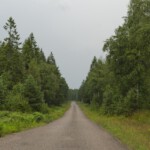 DSC0774