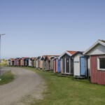 DSC0855