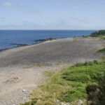 DSC0863