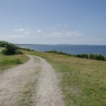 DSC0869