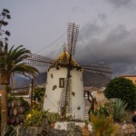 DSC0979