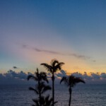 DSC0981