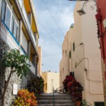 DSC0995