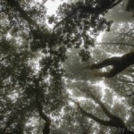 DSC1050