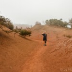 DSC1116