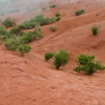DSC1121