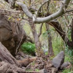 Wanderung zum Wasserfall